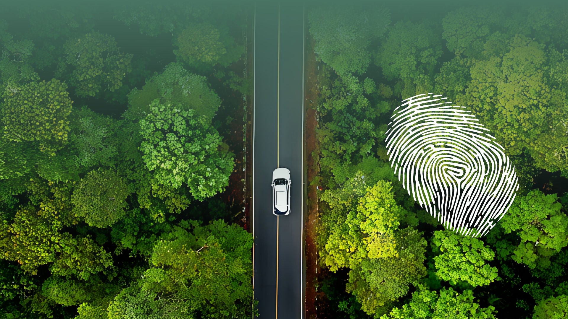 Sustainability - Embedded in the DNA