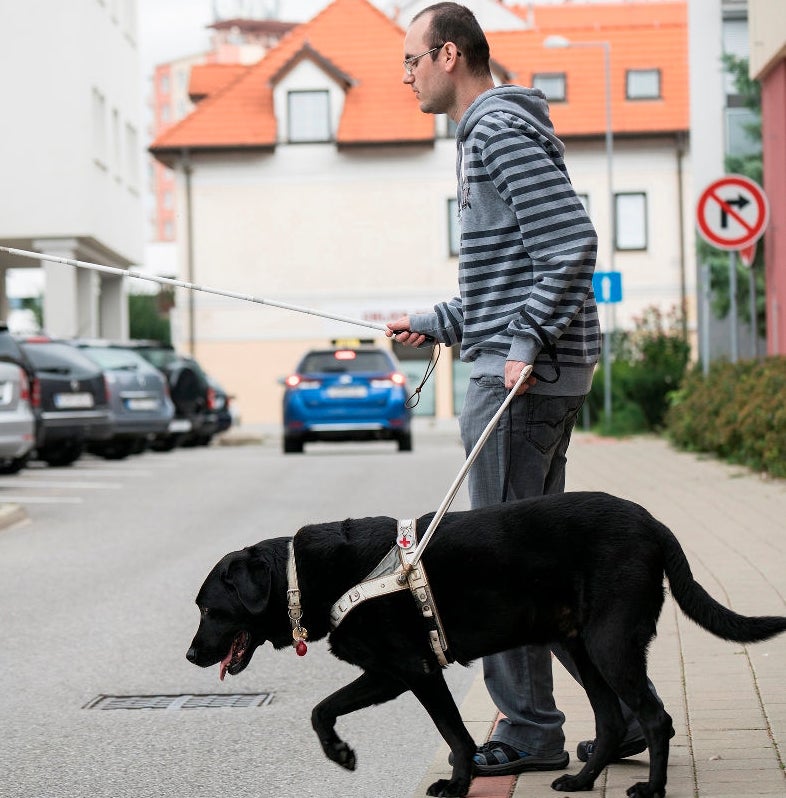 Blind man with his assistance dog