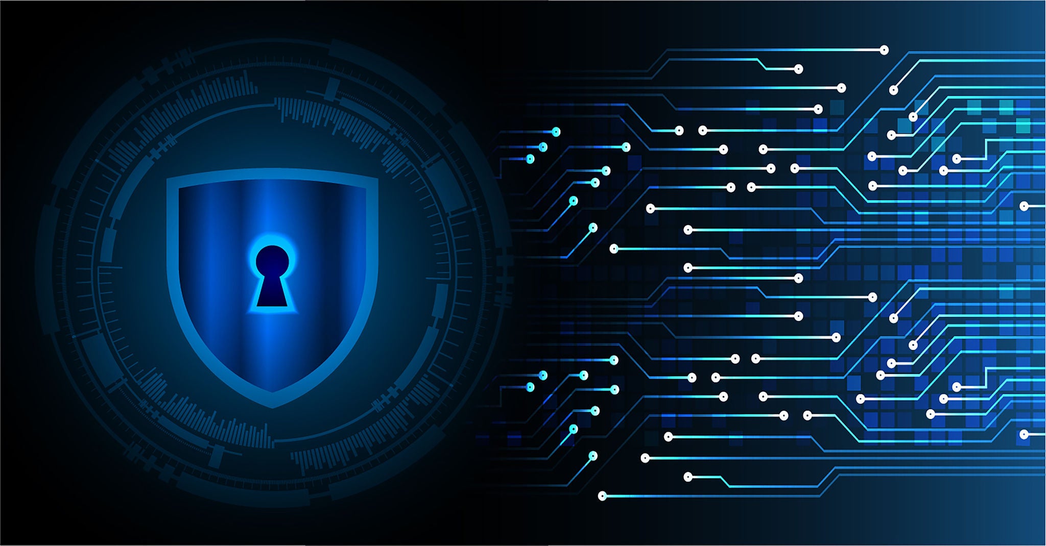 Webasto Career - Information Technology Department